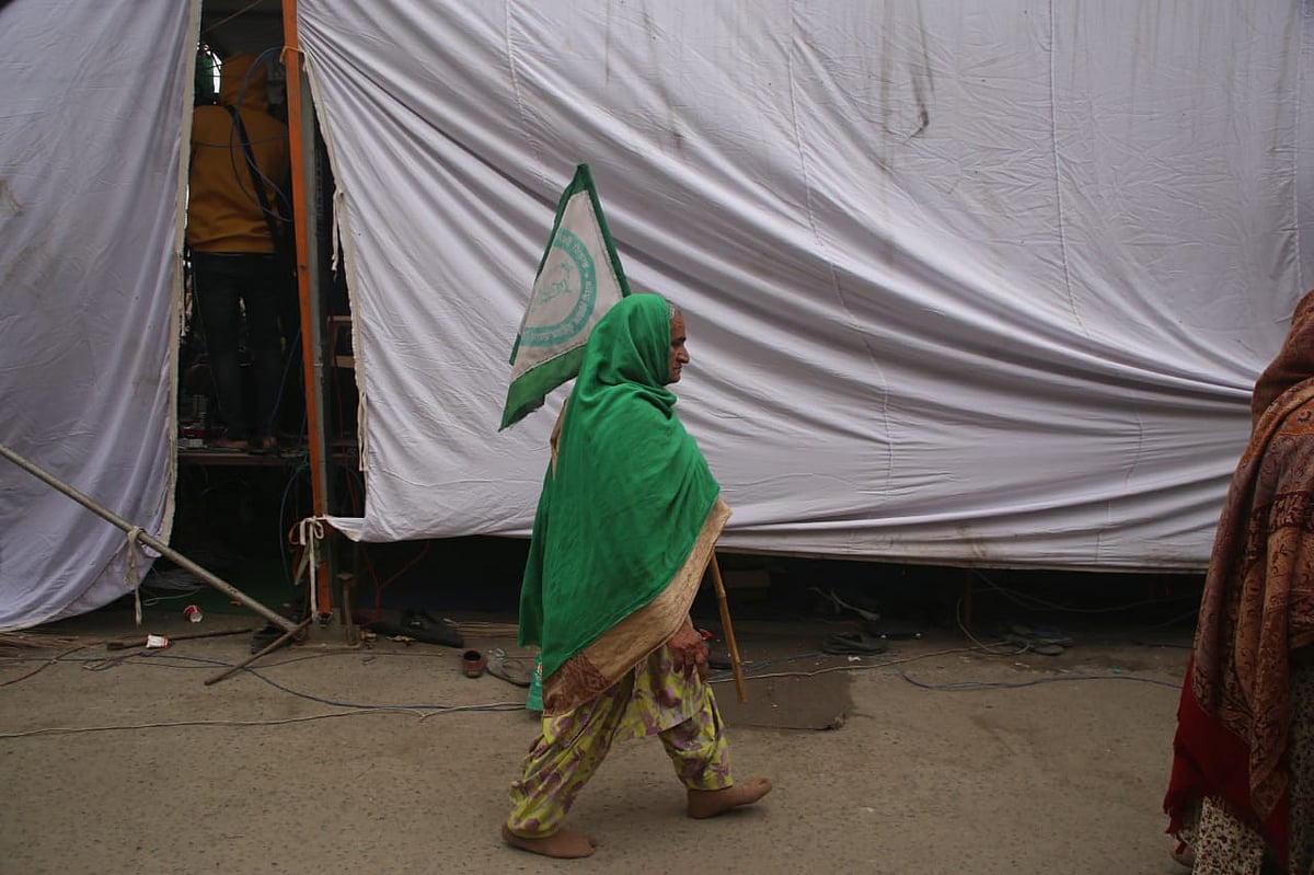 फोटो: विपिन