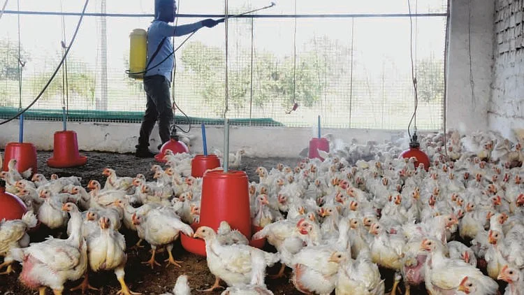 फाइल फोटोः पीटीआई