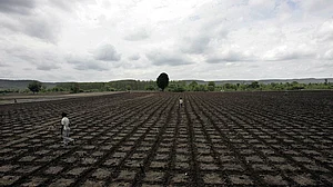 उत्तर प्रदेश: नए साल पर किसान परिवार पर टूटा दुखों का पहाड़, फसल बर्बाद होने से पहुंचा सदमा! किसान की हुई मौत