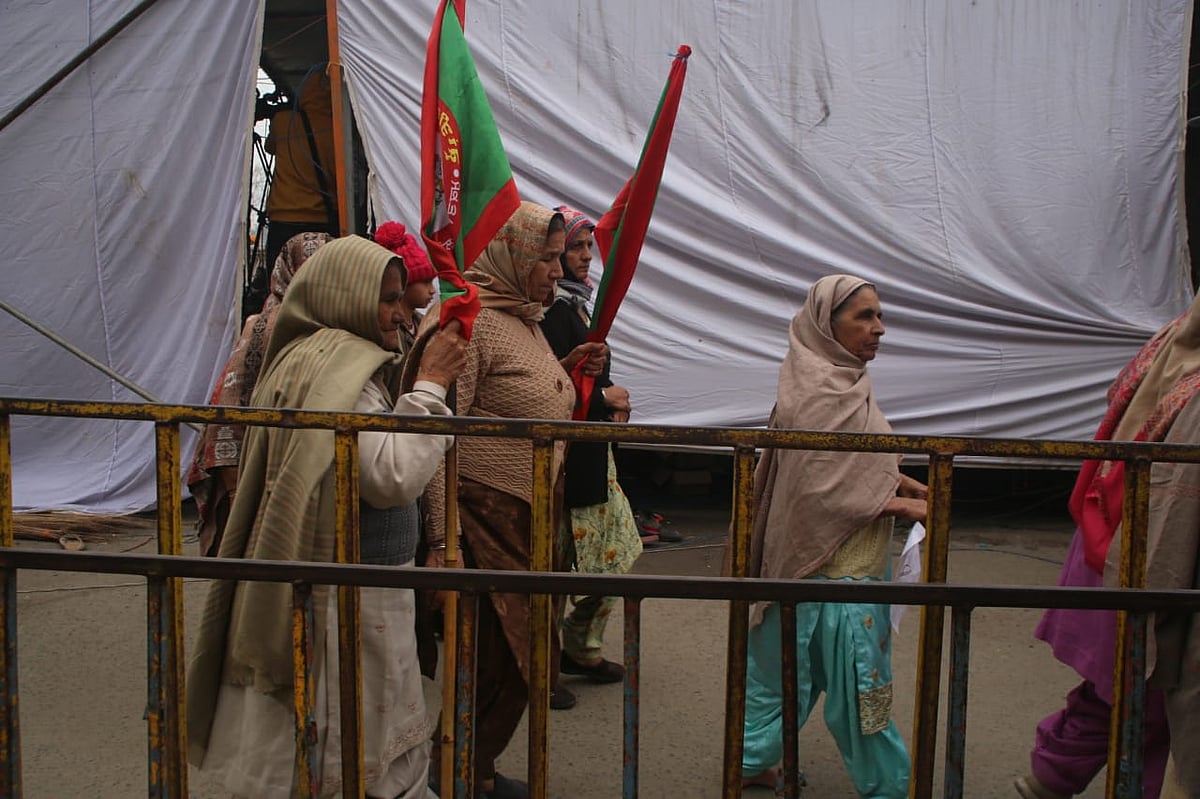 फोटो: विपिन