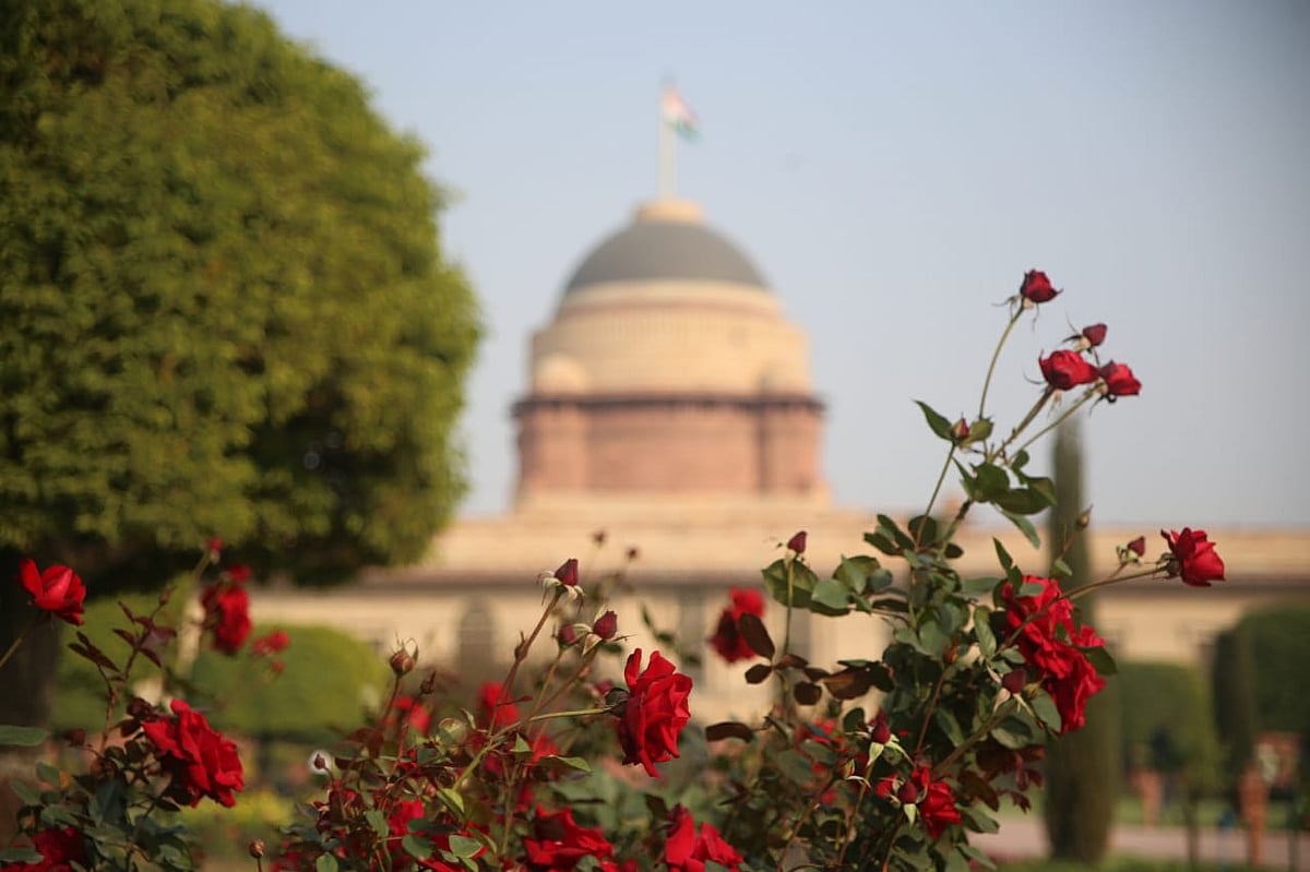 फोटो : विपिन