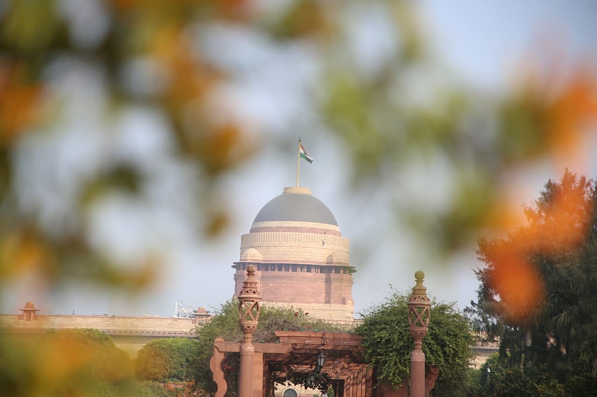 फोटो : विपिन