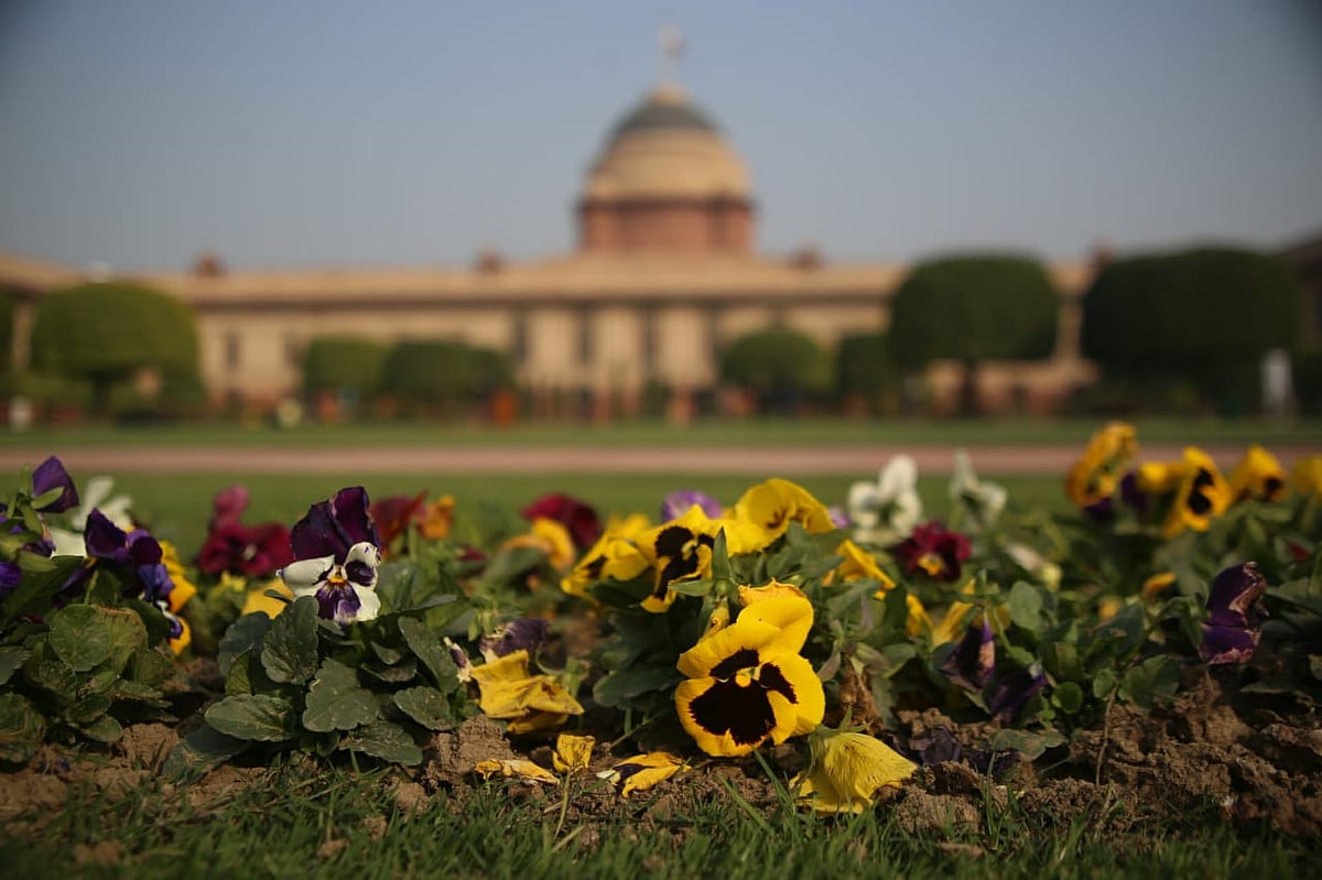 फोटो : विपिन