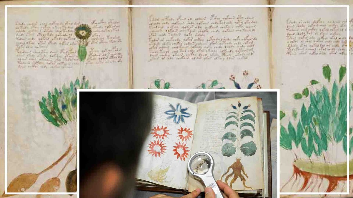 फोटो: सोशल मीडिया