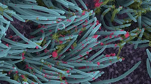 दुनिया की 5 बड़ी खबरें: कोरोना को लेकर बड़ा खुलासा, जानें कहां से आया ये वायरस और इराक में हवाई हमले में 4 IS आतंकी ढेर