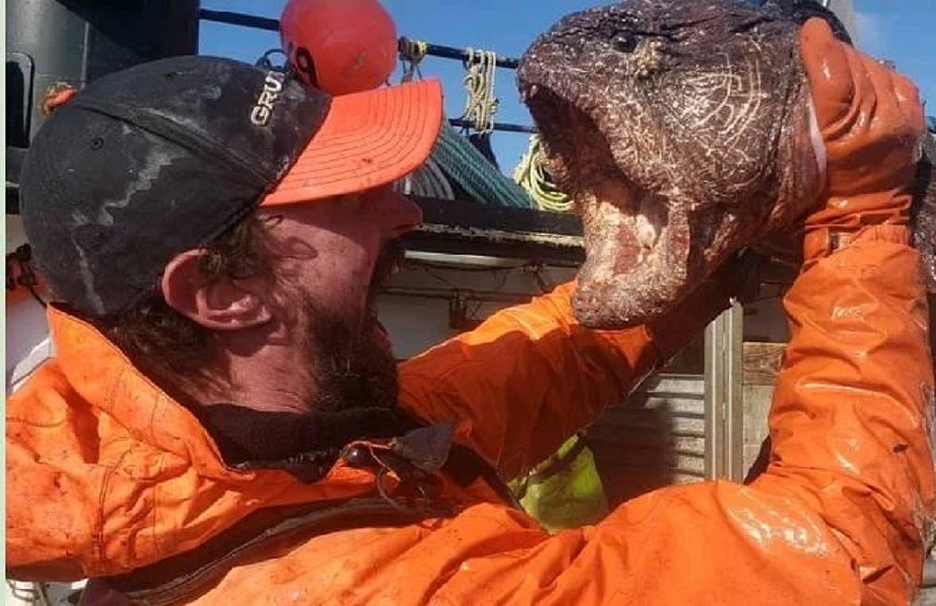 वीडियो: समंदर में मछली पकड़ रहा था मछुआरा, अचानक जाल में फंसा 'समुद्री राक्षस', तस्वीरें देख उड़े सबके होश! 