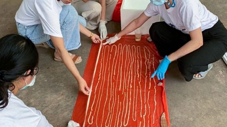 वीडियो: इस शख्स के पेट से निकला 18 मीटर लंबा कीड़ा, इलाज कर रहे डॉक्टरों के उड़े होश!