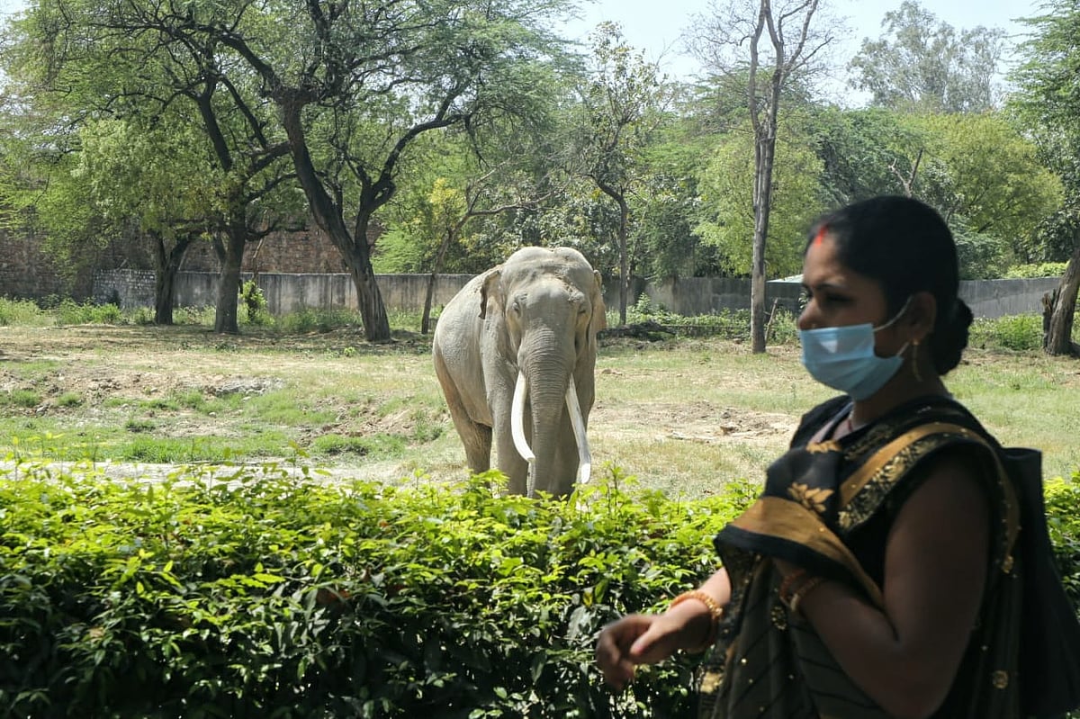 फोटो: विपिन