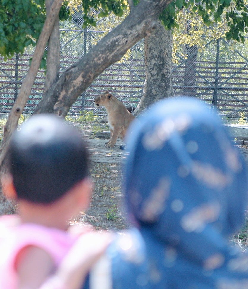 फोटो: विपिन