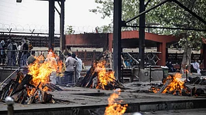 फोटो : Getty Images