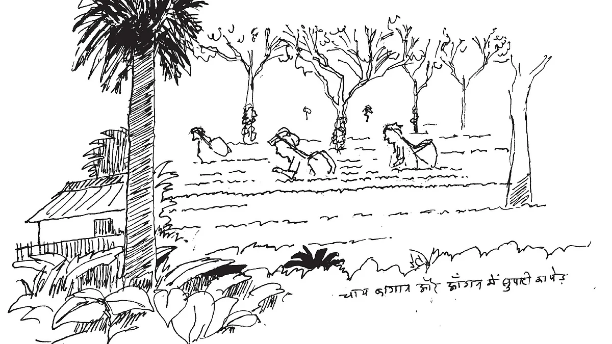 रेखांकन : राजेंद्र घोड़पकर