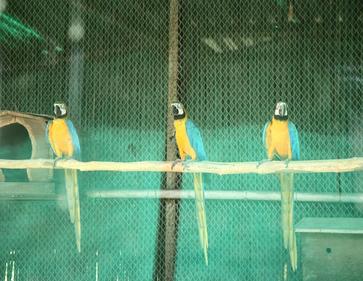 फोटो: विपिन