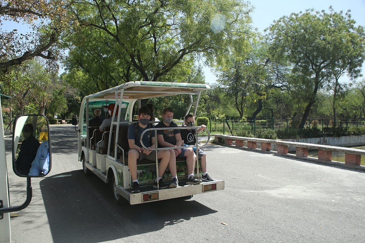 फोटो: विपिन