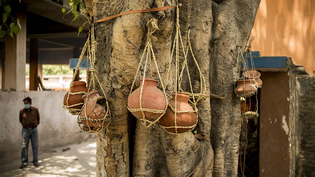 फोटो : Getty Images