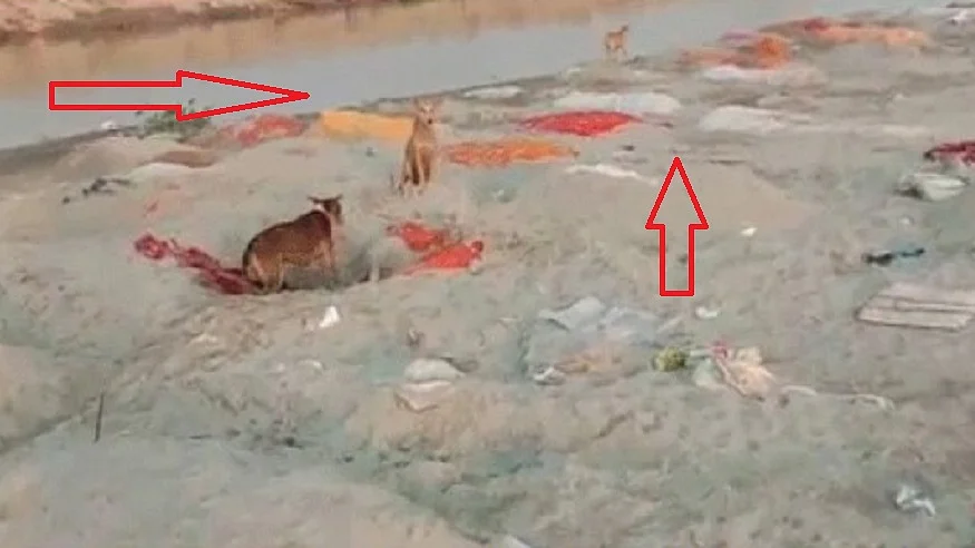 फोटो: सोशल मीडिया