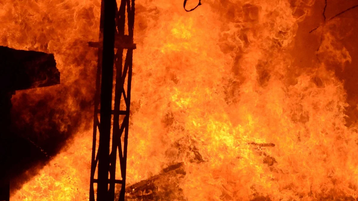 फोटो : आईएएनएस