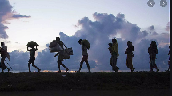 फोटो: सोशल मीडिया