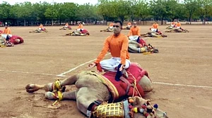 ऊंटों की पीठ पर बैठकर बीएसएफ के जवानों ने किया योग, सोशल मीडिया पर भड़के लोग