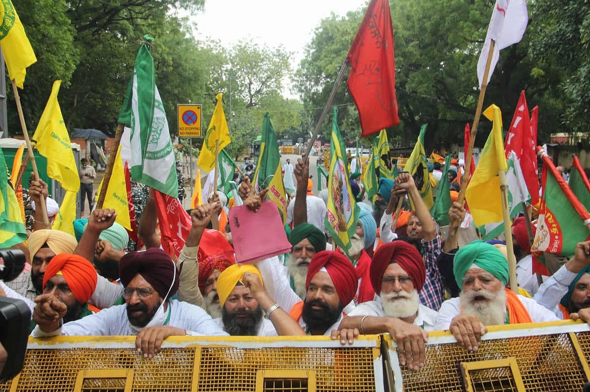 फोटो: विपिन