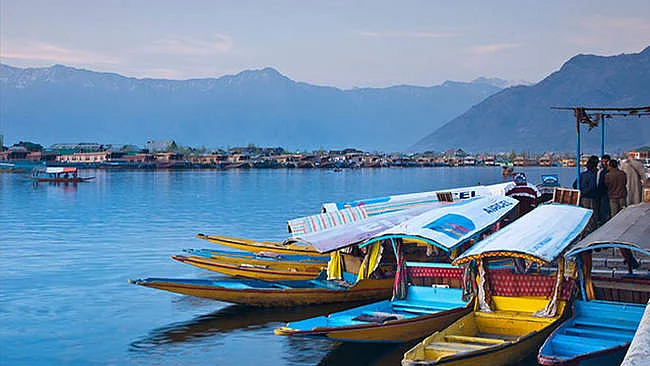 फोटो: सोशल मीडिया