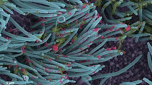 शोधकर्ताओं ने बताया- जंगल की आग की तरह क्यों फैलता है डेल्टा कोविड वेरिएंट?