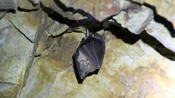 फोटोः IANS