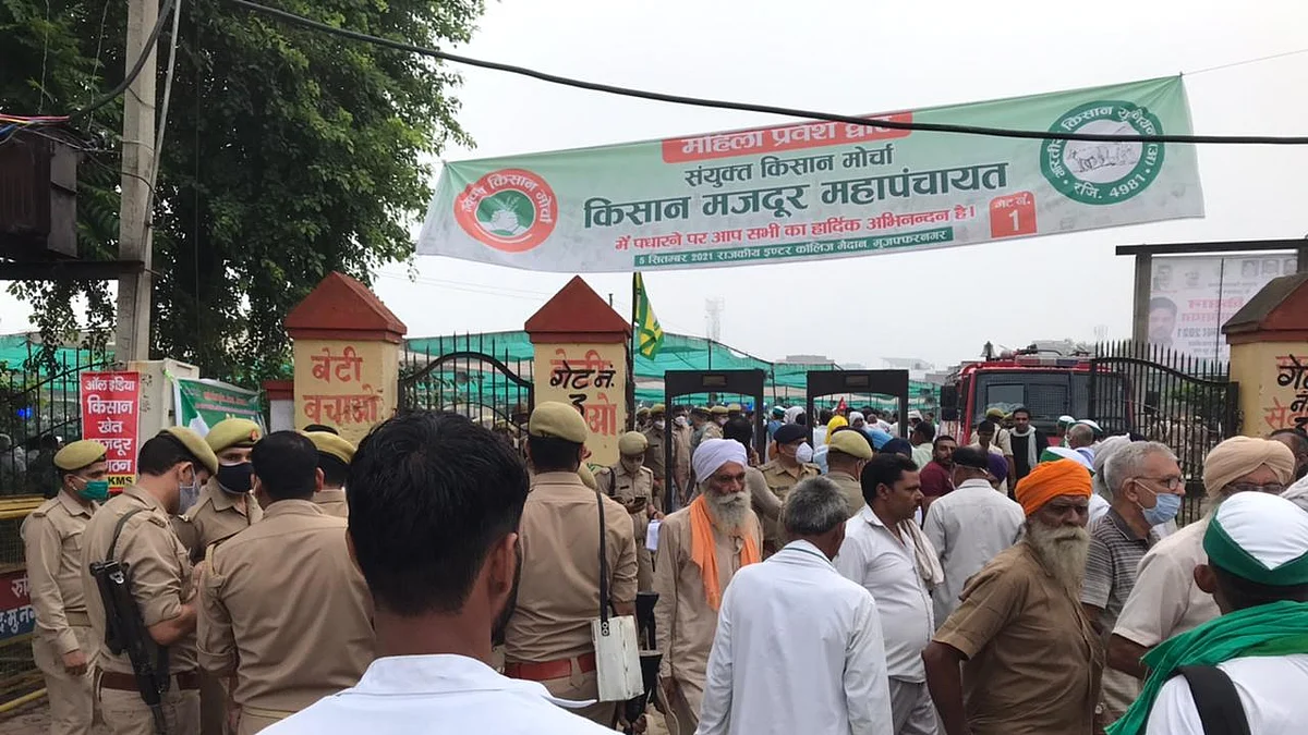 फोटो: ऐश्लिन