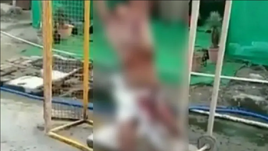 फोटोः सोशल मीडिया