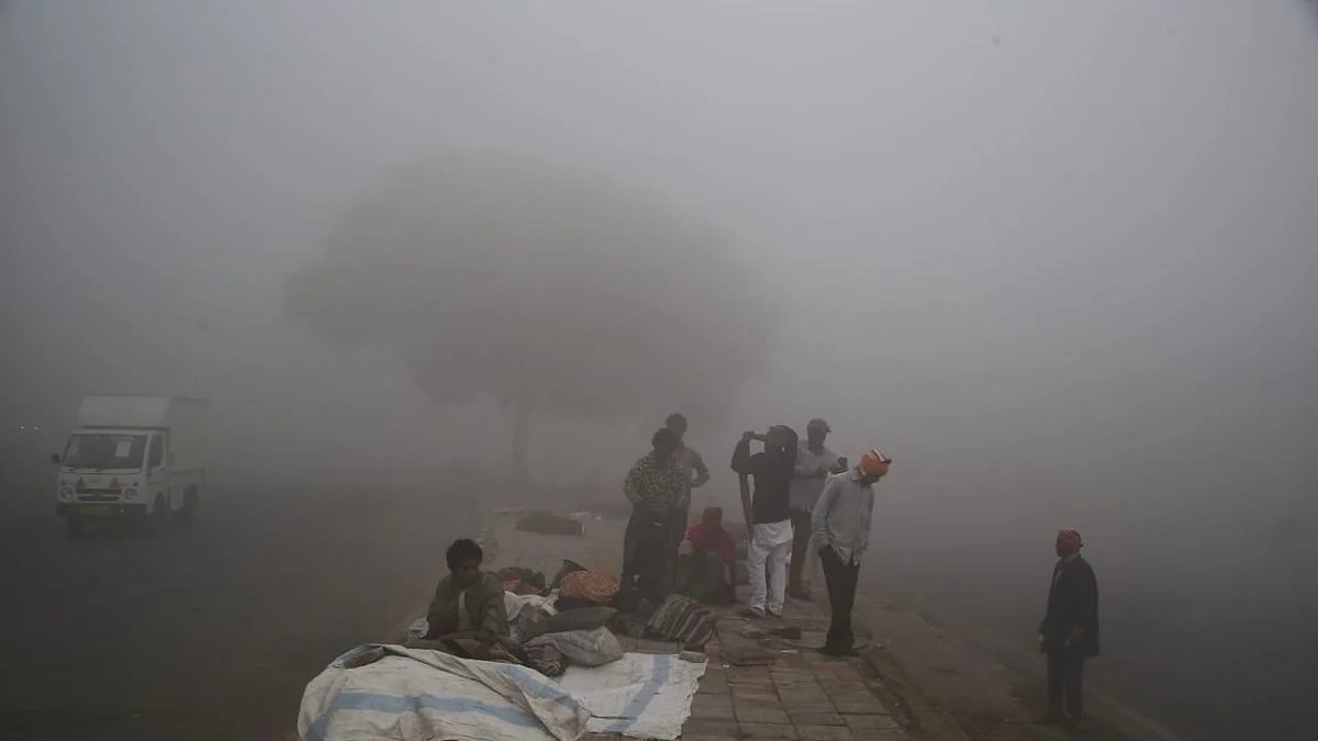 फोटो: सोशल मीडिया