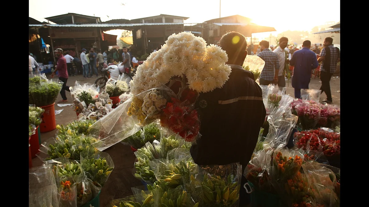 फोटो: सोशल मीडिया