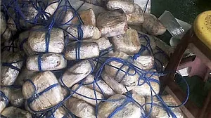 गुजरात बना भारत में ड्रग्स तस्करी का आसान रास्ता, अब 88 करोड़ रुपये का नशीला पदार्थ जब्त, एक गिरफ्तार