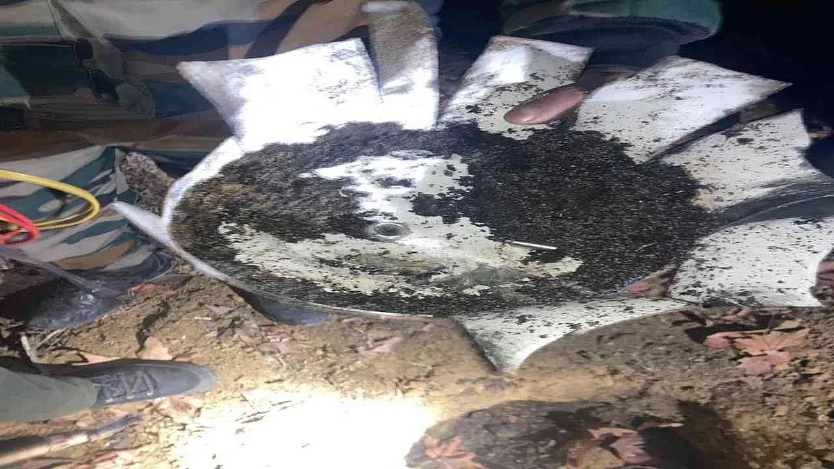 फोटो: सोशल मीडिया