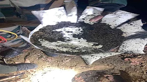 श्रीनगर में आतंकियों की बड़ी साजिश को सेना ने किया नाकाम, 5 किलो का IED बम बरामद, बड़े धमाके का था प्लान