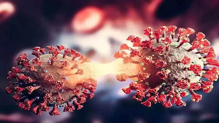 फोटोः सोशल मीडिया