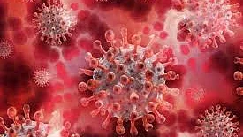 फोटोः सोशल मीडिया