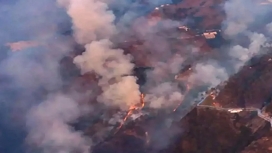 फोटो: सोशल मीडिया