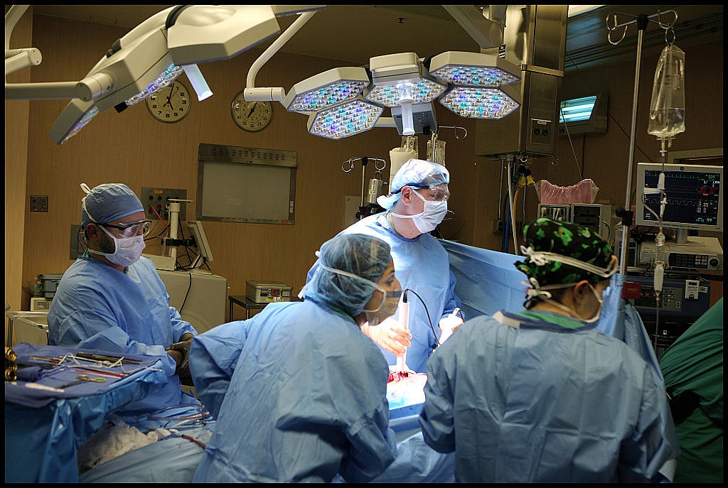 साइंस का महाचमत्कार! मेडिकल क्षेत्र में अमेरिकी डॉक्टरों ने रचा इतिहास, पहली बार इंसान के अंदर धड़का सूअर का दिल  