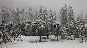 मौसम फिर लेगा यूटर्न! पहाड़ों पर बर्फबारी, देश के इन राज्यों में IMD ने जारी किया बारिश का अलर्ट