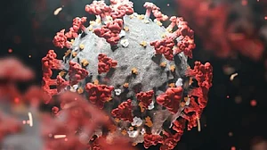 भारत में तीन सब वेरिएंट के साथ कहर ढा रहा है ओमिक्रॉन, तेजी से डेल्टा स्ट्रेन की ले रहा जगह