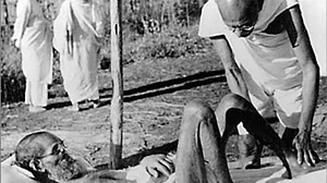 महत्वपूर्ण आश्रम, दिलचस्प आश्रमवासी जैसे शिवजी की बारात थी गांधी के साथ