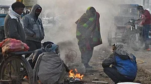 फोटो: सोशल मीडिया