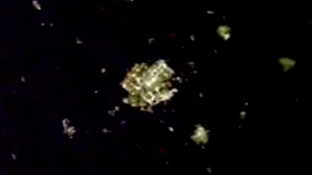 फोटो: सोशल मीडिया