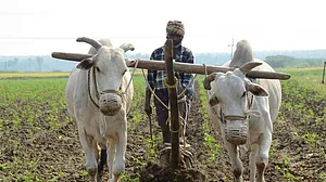 Budget 2022: 'किसानों को 2.3 लाख करोड़ MSP भुगतान के जरिए देने का लक्ष्य' जानें अन्नदाता को बजट में और क्या मिला?