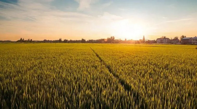 दुनिया की बड़ी खबरें: रूस का करीब आधा विदेशी रिजर्व फ्रीज, कोरोना की फिर दस्तक, यूरोप-एशिया में नए केस की बाढ़