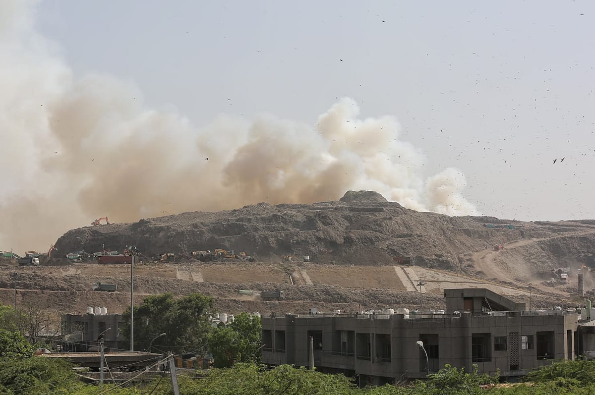 फोटो: विपिन