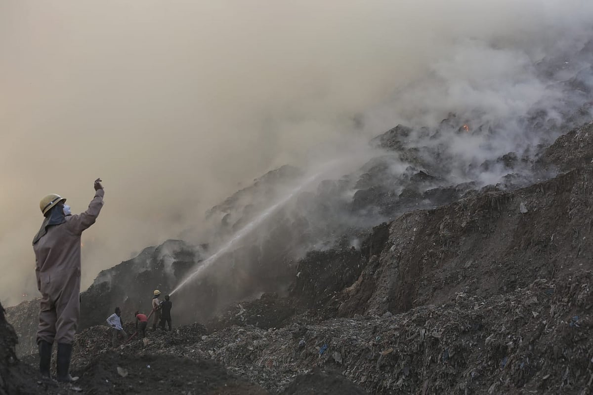 फोटो: विपिन