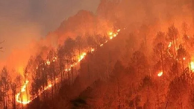 फोटोः सोशल मीडिया