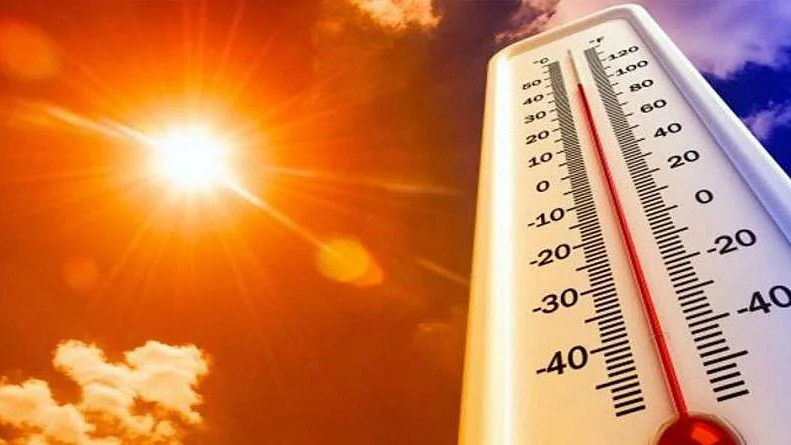 फोटो: सोशल मीडिया