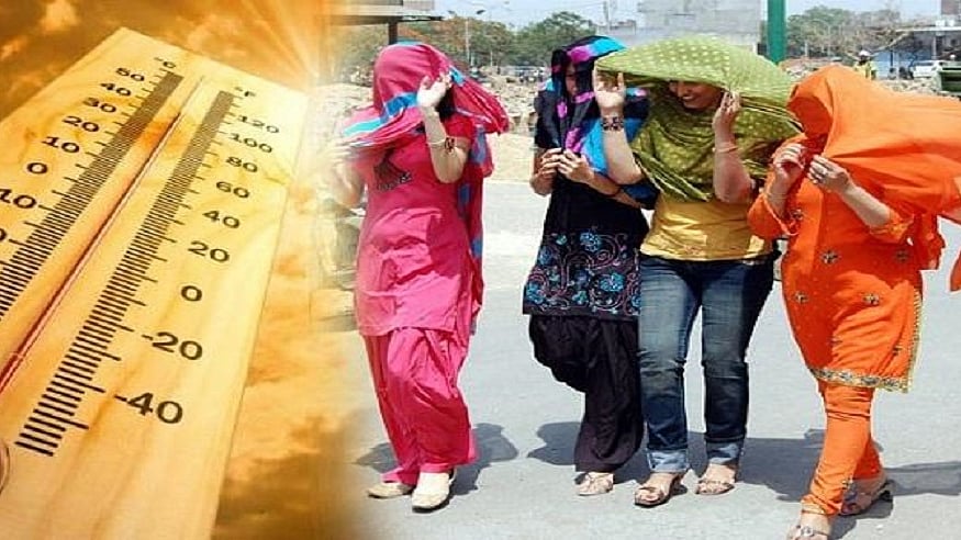 फोटो: सोशल मीडिया