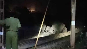 झारखंड में ट्रेन की चपेट में आकर तीन हाथियों की मौत, गुस्साए साथियों के प्रदर्शन से 12 घंटे ठप रही रेल लाइन